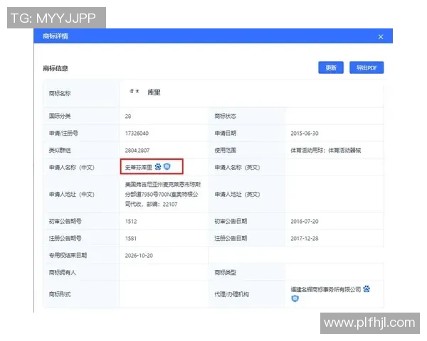 足球球星商标背后的商业价值与全球影响力分析